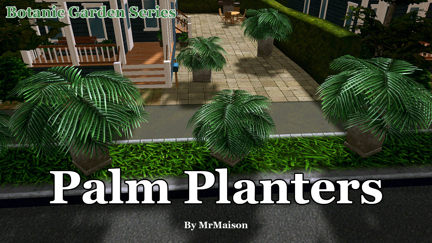 Palm Planters Promo.jpg